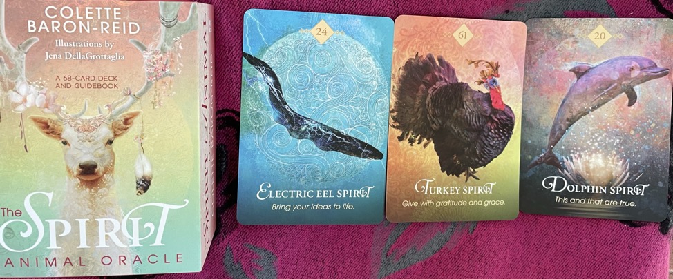 8AF4B49C-D363-4B97-AECE-9973299FD293