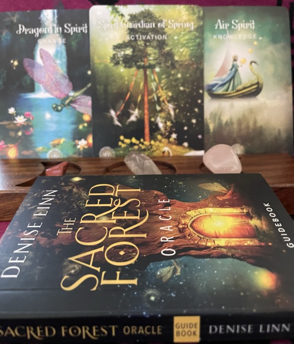 9B4DD7B5-BE31-4032-B2FA-2C8E0BA7FFDF